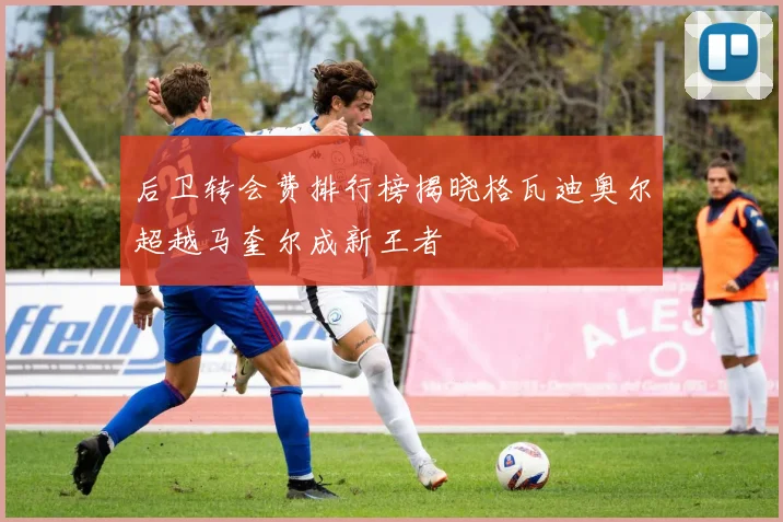 后卫转会费排行榜揭晓格瓦迪奥尔超越马奎尔成新王者