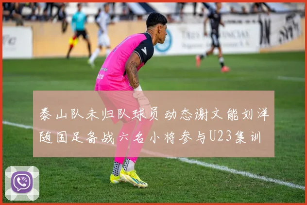 泰山队未归队球员动态谢文能刘洋随国足备战六名小将参与U23集训